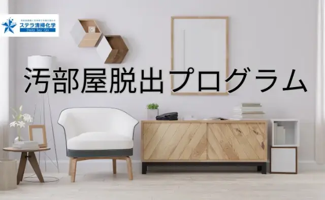 ステラ清掃化学のハウスクリーニングサービスページのお部屋脱出プログラムページへのリンク画像