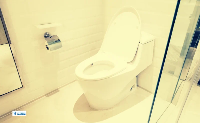 ステラ清掃化学のハウスクリーニングサービスページのトイレクリーニングイメージ画像
