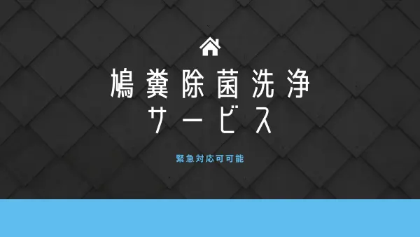 ステラ清掃化学の業務用クリーニング｜民泊・店舗・施設・車両まで対応｜ステラ清掃化学ページの鳩糞除菌洗浄サービスの画像