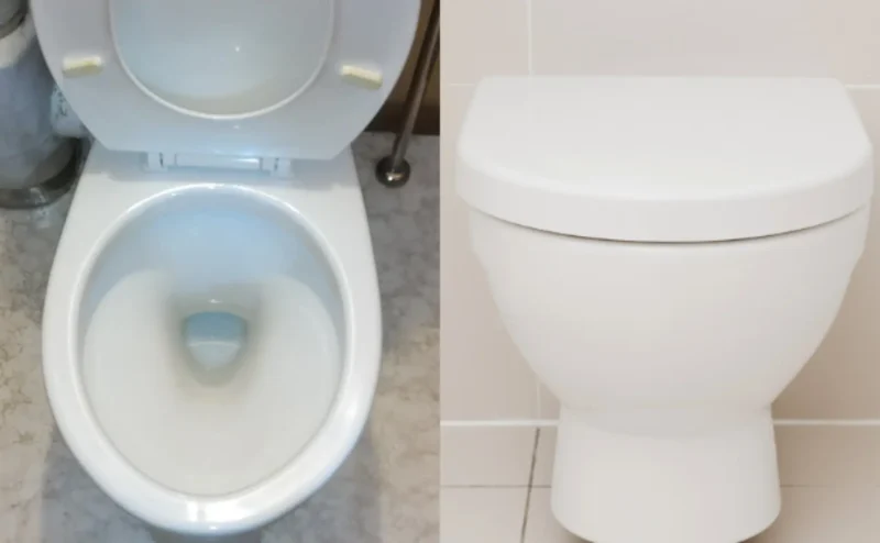 ステラ清掃化学のトイレクリーニングの清潔トイレ画像