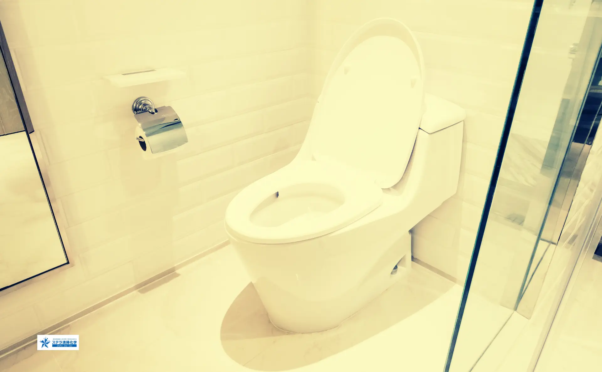 ステラ清掃化学のトイレクリーニングのイメージ画像