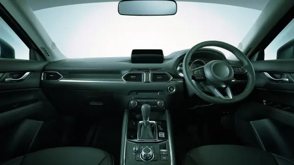 ステラ清掃化学｜車の嘔吐物・血液・粗相 特殊清掃サービスのセンターコンソール画像