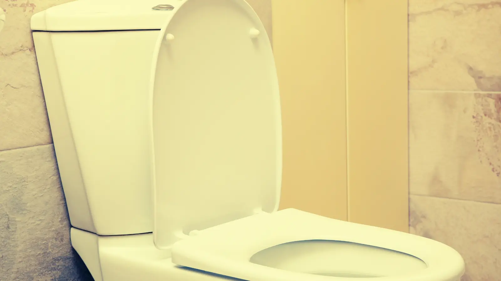 北広島市の水周りクリーニング｜ステラ清掃化学の暮らし応援セットのトイレ画像