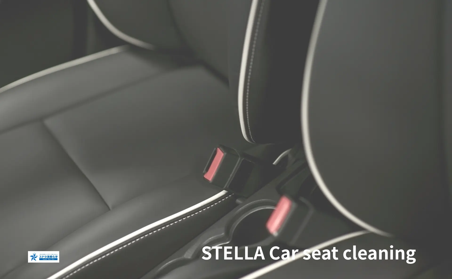 ステラ清掃化学｜車の嘔吐物・血液・粗相 特殊清掃サービスのトップ画像