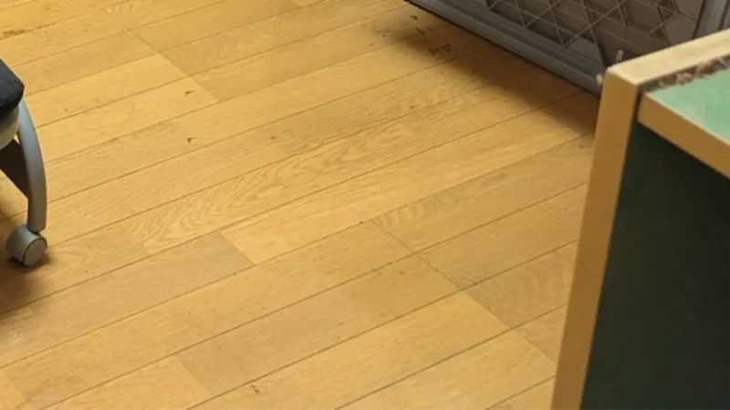 恵庭市のゴミ屋敷清掃｜花のまちの暮らしを秘密厳守で快適再生のステラ清掃化学ページのゴミ屋敷清掃例のアフター画像