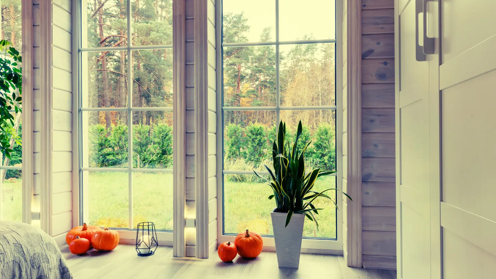 苫小牧市 全域対応の空室清掃・退去清掃・入居清掃｜ステラ清掃化学の窓画像