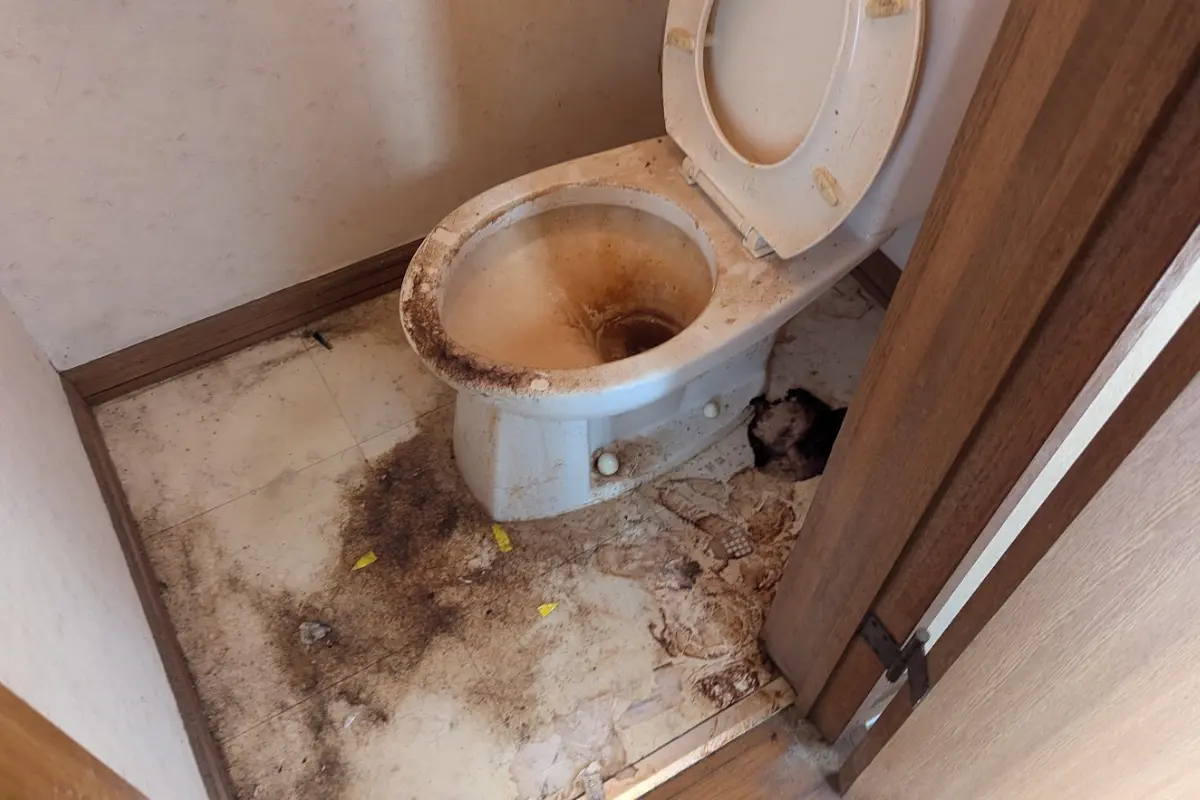 トイレ清掃前の状態