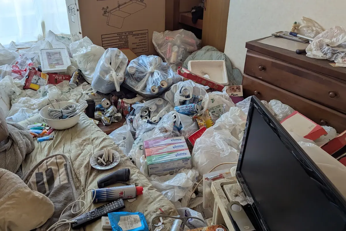 片付け前の部屋の状態